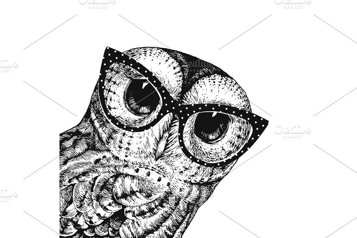 Cute Owl Wearing Glasses in Illustrations - product preview 8