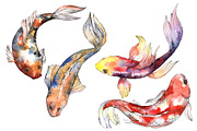 Fairy Goldfish Watercolor png