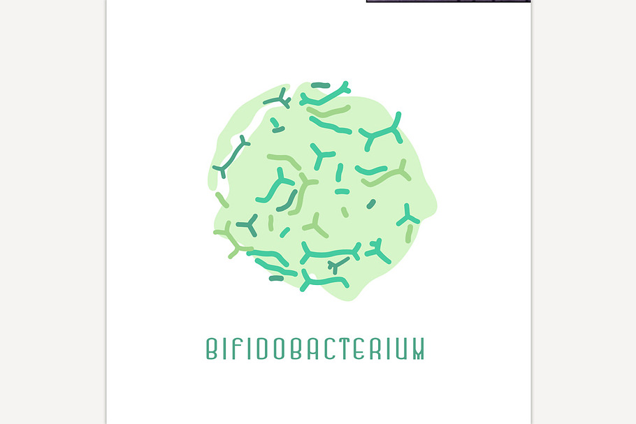 Bifidobacterium Colony Image