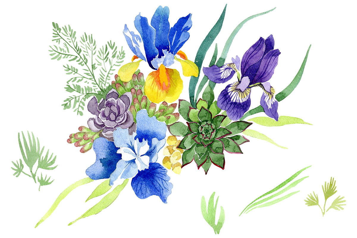 Bouquet with blue irises Watercolor  in Illustrations - product preview 8