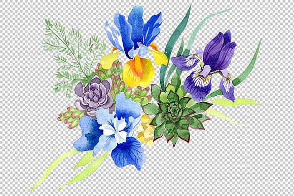Bouquet with blue irises Watercolor  in Illustrations - product preview 5