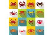 Various crab icons set, flat style