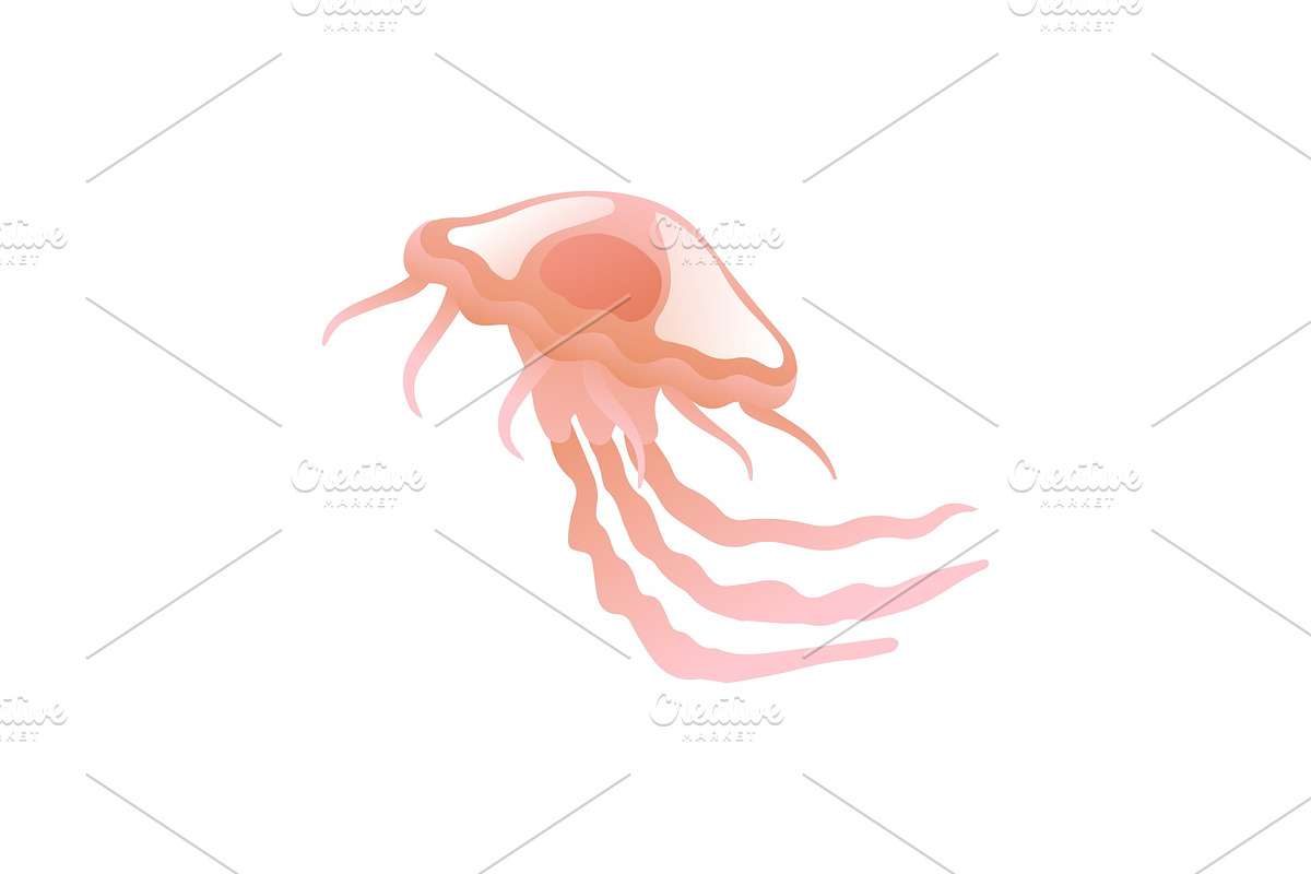 Jellyfish, Beautiful Swimming in Illustrations - product preview 8