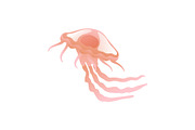Jellyfish, Beautiful Swimming