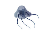 Jellyfish, Beautiful Grey Swimming