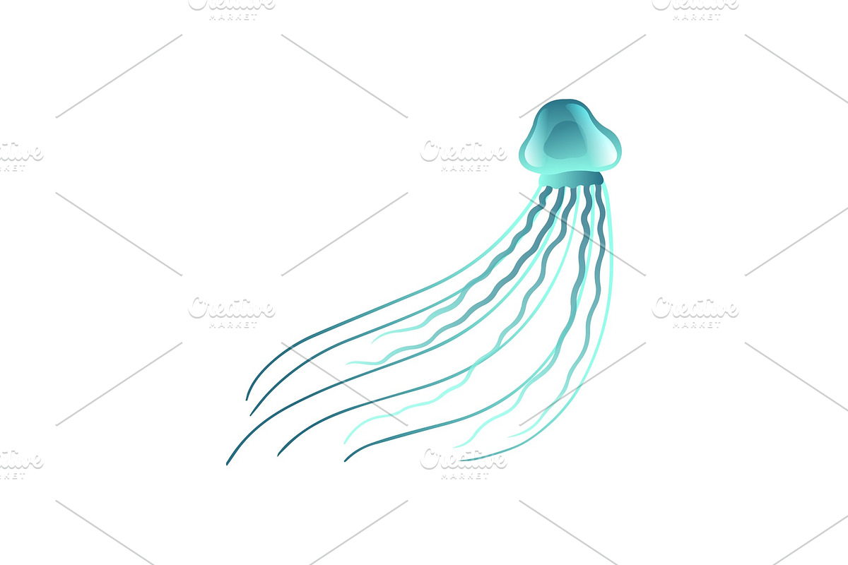 Jellyfish, Beautiful Turquoise in Illustrations - product preview 8