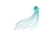 Jellyfish, Beautiful Turquoise