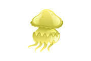 Yellow Jellyfish, Beautiful