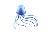 Jellyfish, Beautiful Swimming