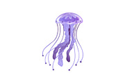 Purple Jellyfish, Beautiful
