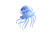 Jellyfish, Beautiful Light Blue