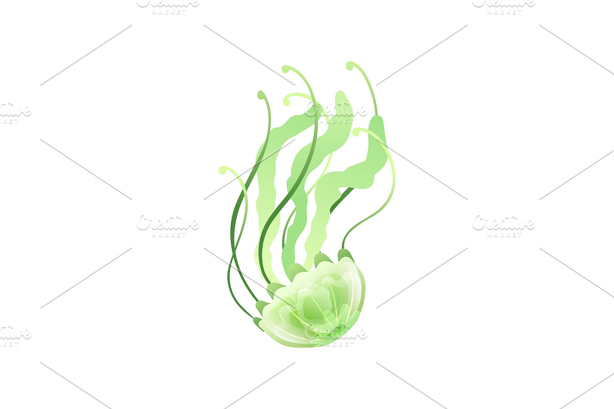 Green Jellyfish, Beautiful Swimming in Illustrations - product preview 8