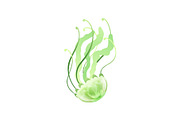Green Jellyfish, Beautiful Swimming