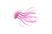 Jellyfish, Beautiful Pink Swimming