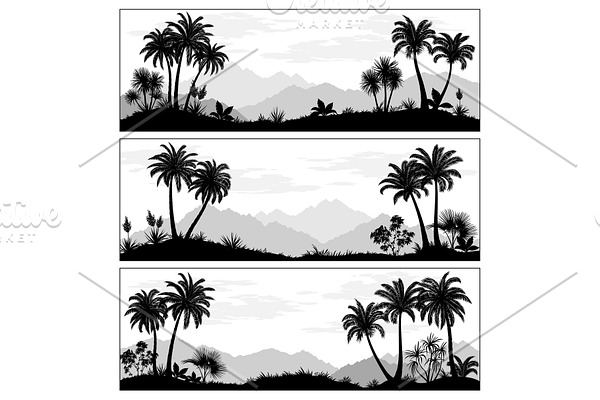 Landscapes with Palms
