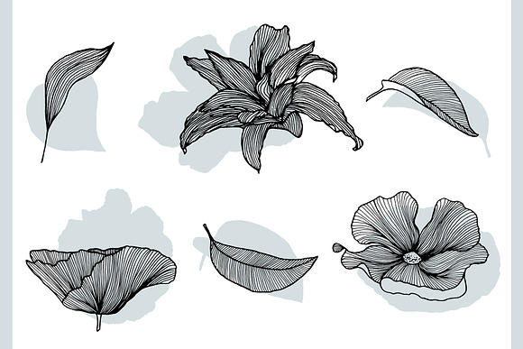 Lineart Floral Patterns & Elements in Patterns - product preview 9