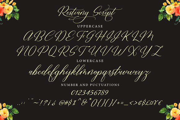 Restiany Script in Script Fonts - product preview 6