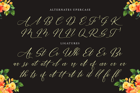 Restiany Script in Script Fonts - product preview 7