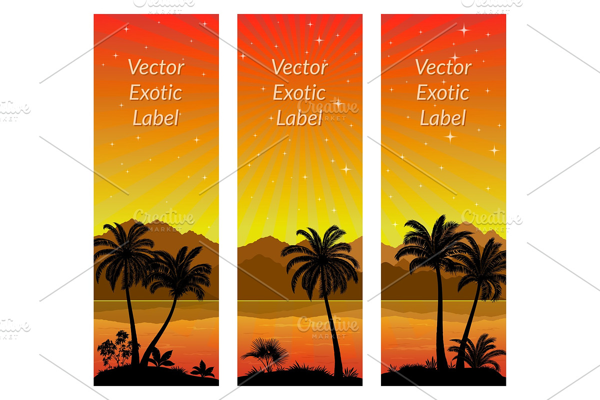 Labels with Palms in Illustrations - product preview 8