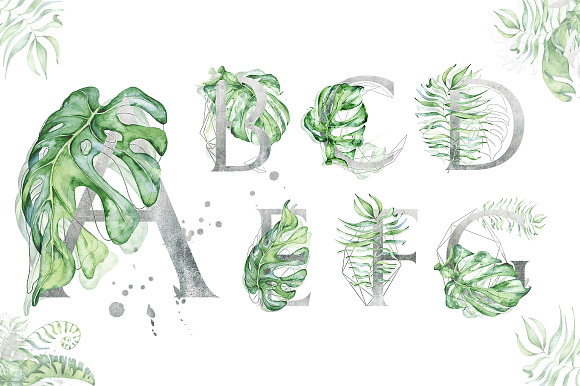 Silver Monstera - tropical alphabet in Objects - product preview 1