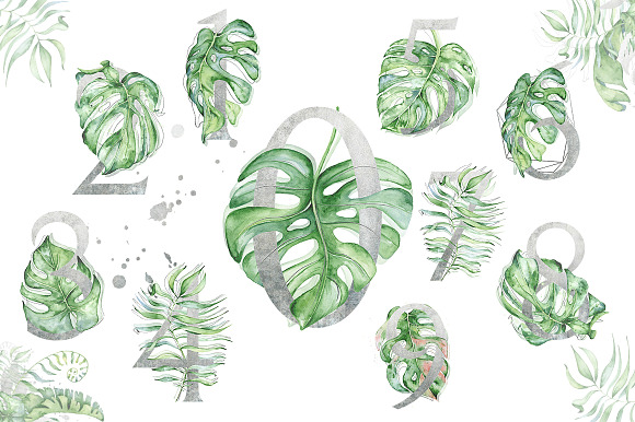 Silver Monstera - tropical alphabet in Objects - product preview 5