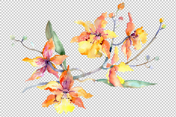Branch of yellow orchids Watercolor  in Illustrations - product preview 1