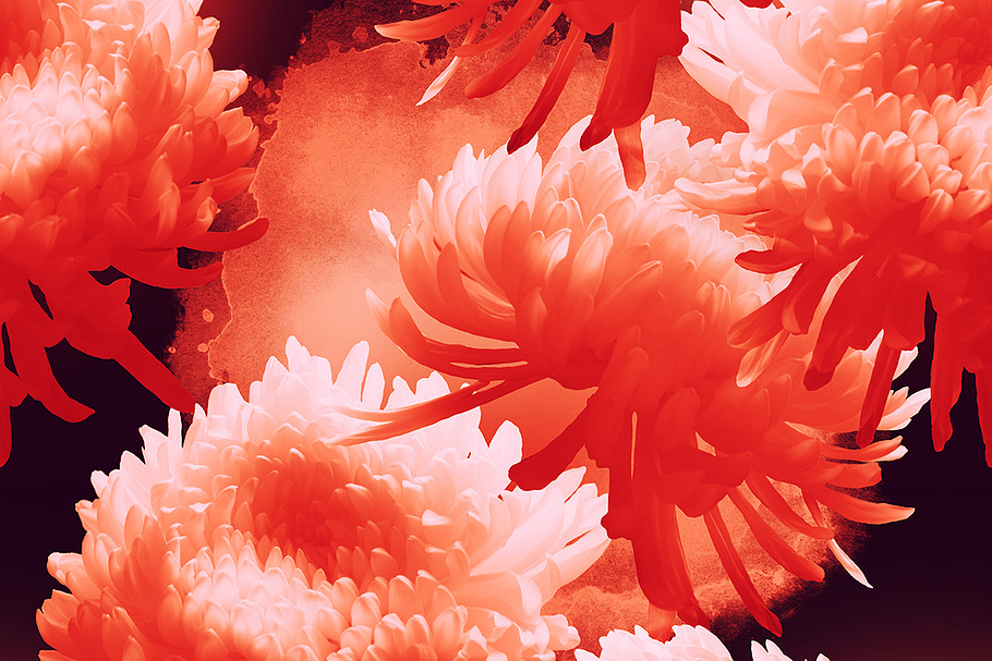 Japanese chrysanthemum pattern | JPG in Patterns - product preview 8