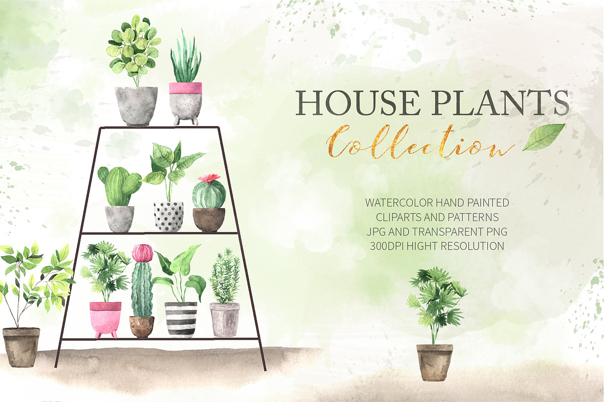 Watercolor House Plants Collection in Graphics - product preview 8