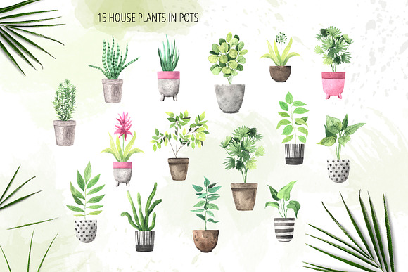 Watercolor House Plants Collection in Graphics - product preview 1