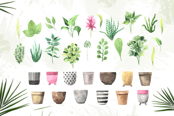 Watercolor House Plants Collection in Graphics - product preview 2