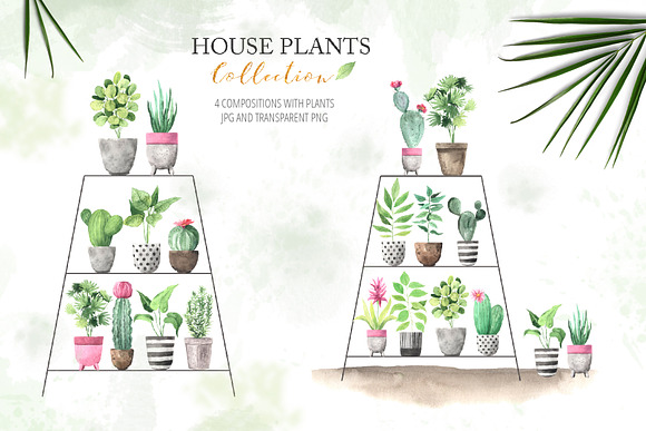 Watercolor House Plants Collection in Graphics - product preview 3