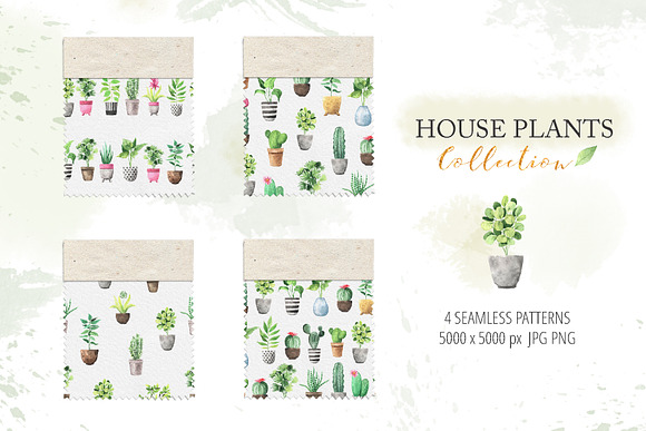 Watercolor House Plants Collection in Graphics - product preview 4