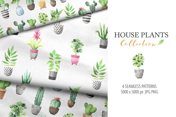 Watercolor House Plants Collection in Graphics - product preview 6