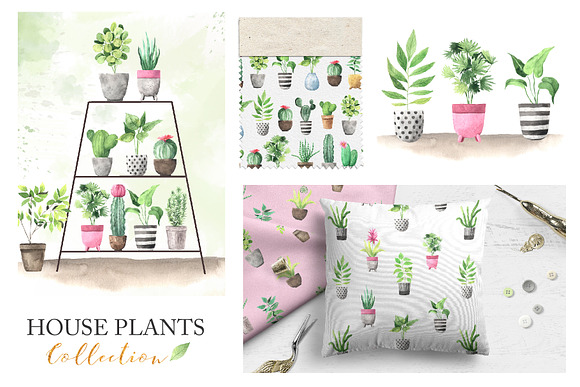 Watercolor House Plants Collection in Graphics - product preview 7