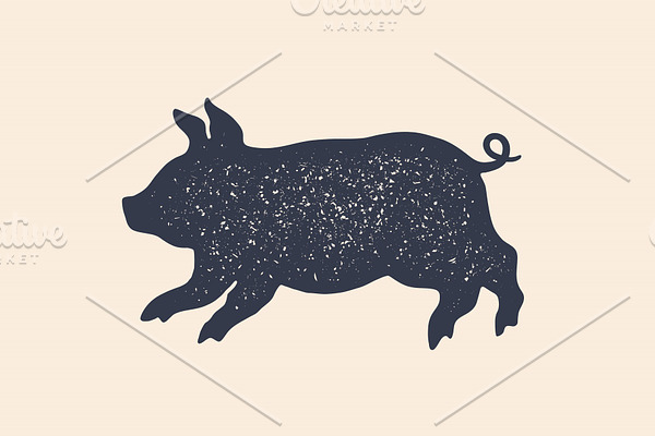 Pig, piggy. Concept design of farm