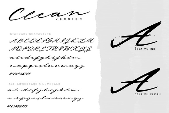 Deja Vu. Handwritten Ink Font in Display Fonts - product preview 13
