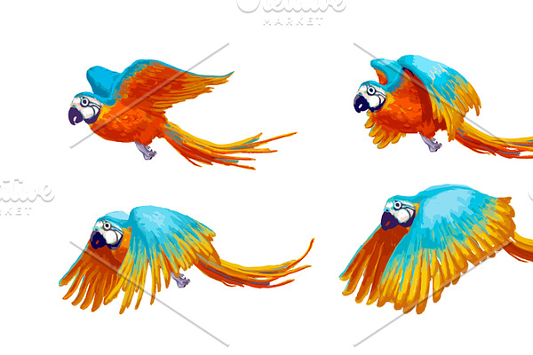 Sprite sheet of flying parrot