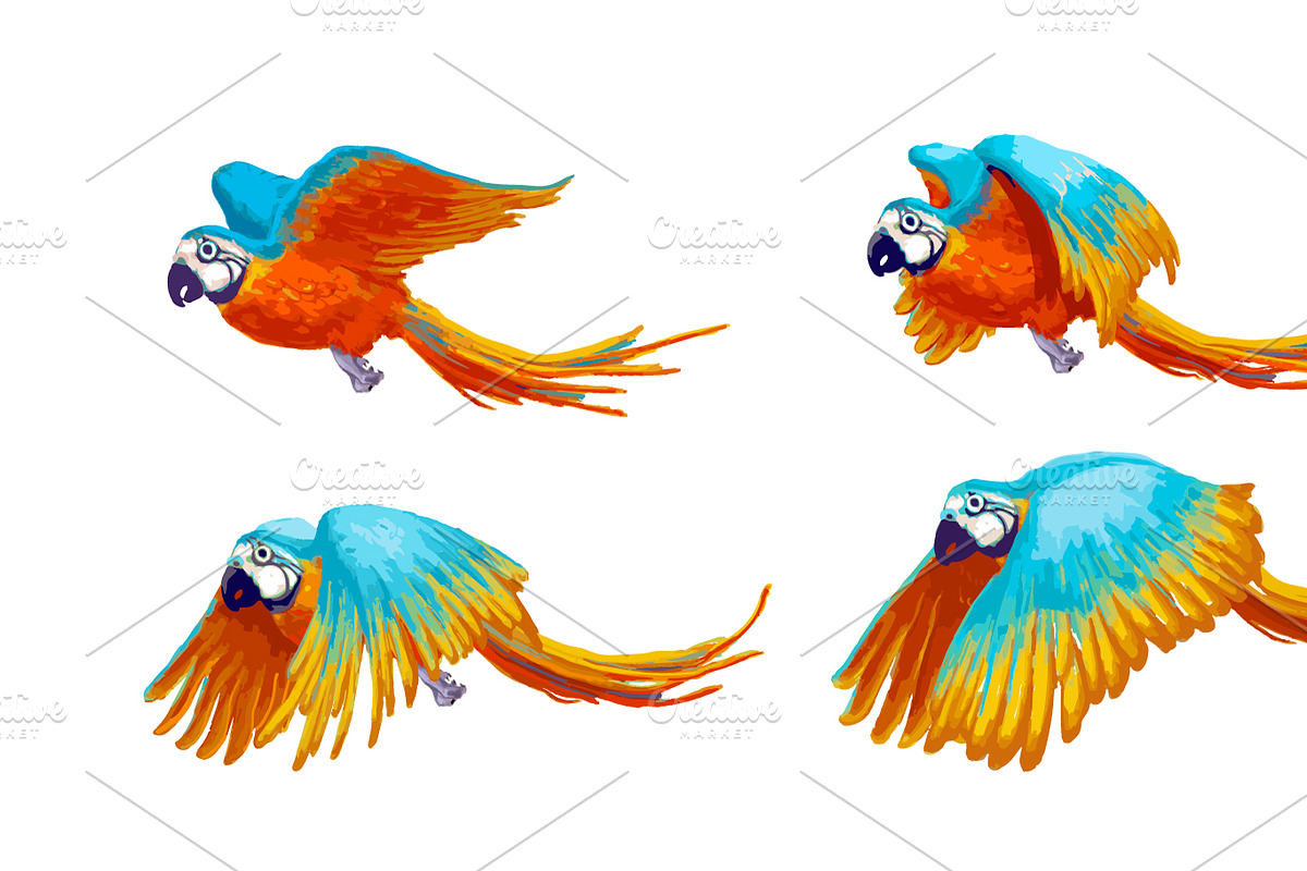 Sprite sheet of flying parrot in Objects - product preview 8