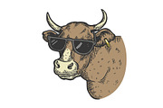 Cow animal in sunglasses color