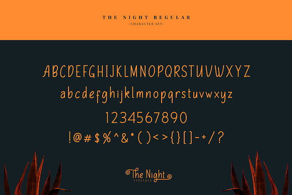 The Night Typeface in Display Fonts - product preview 8