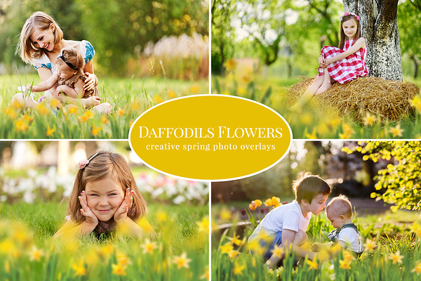 Daffodils Flowers photo overlays