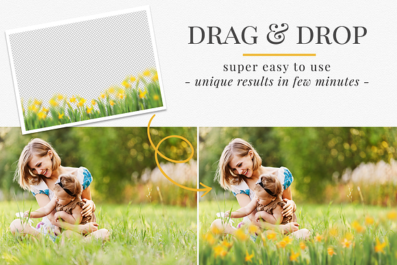 Daffodils Flowers photo overlays in Add-Ons - product preview 1