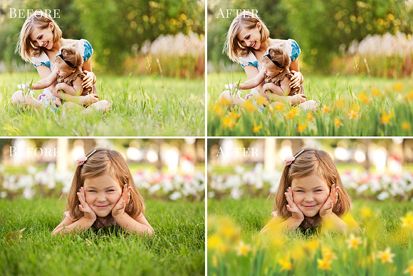 Daffodils Flowers photo overlays in Add-Ons - product preview 2