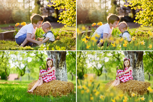 Daffodils Flowers photo overlays in Add-Ons - product preview 3