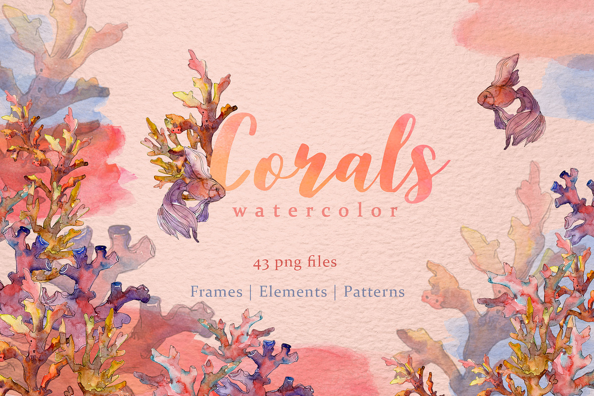 Corals Watercolor png in Illustrations - product preview 8