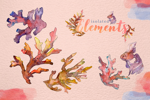 Corals Watercolor png in Illustrations - product preview 5