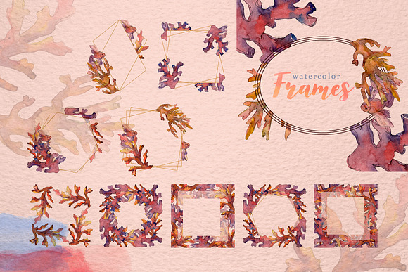 Corals Watercolor png in Illustrations - product preview 6