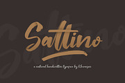 Saltino Script