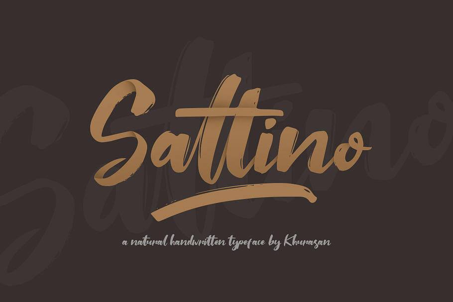 Saltino Script in Script Fonts - product preview 8