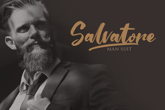 Saltino Script in Script Fonts - product preview 4